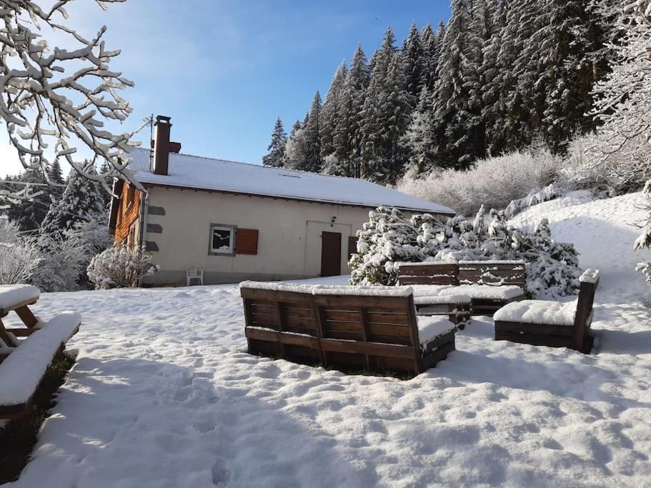 Ferme De Chenezeau - 15 Personnes , 7 Chambres Gérardmer Εξωτερικό φωτογραφία