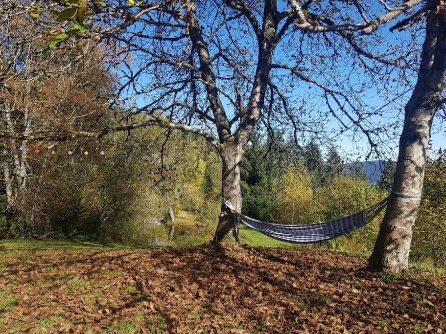 Ferme De Chenezeau - 15 Personnes , 7 Chambres Gérardmer Εξωτερικό φωτογραφία
