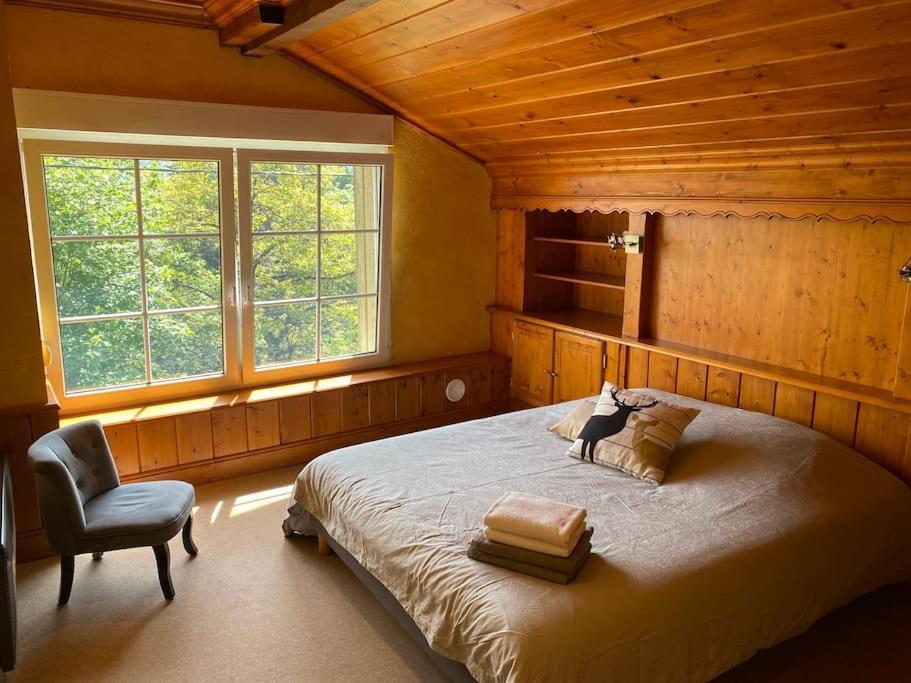 Ferme De Chenezeau - 15 Personnes , 7 Chambres Gérardmer Εξωτερικό φωτογραφία