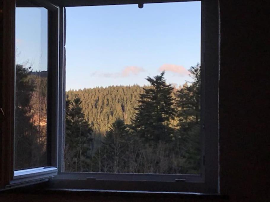 Ferme De Chenezeau - 15 Personnes , 7 Chambres Gérardmer Εξωτερικό φωτογραφία