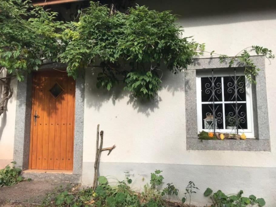 Ferme De Chenezeau - 15 Personnes , 7 Chambres Gérardmer Εξωτερικό φωτογραφία